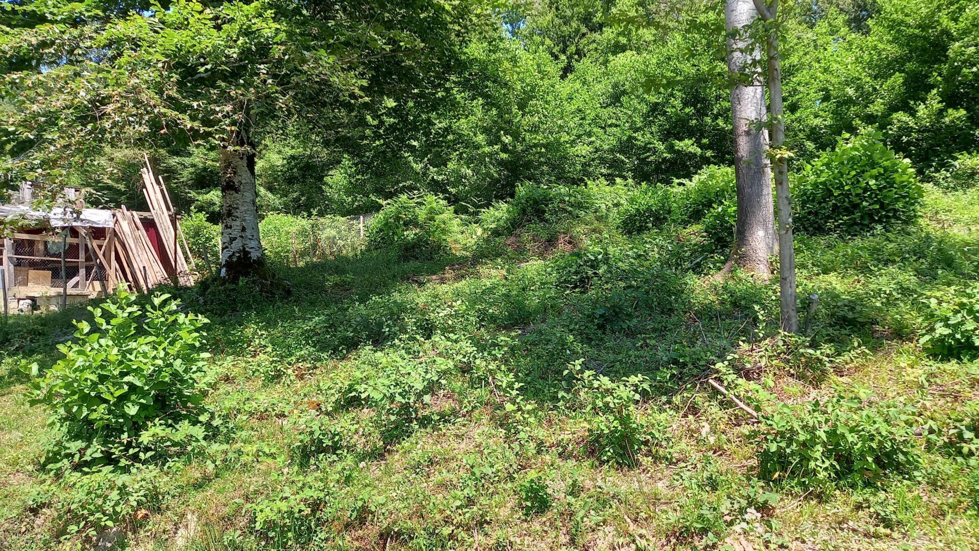 Участок в живописном месте