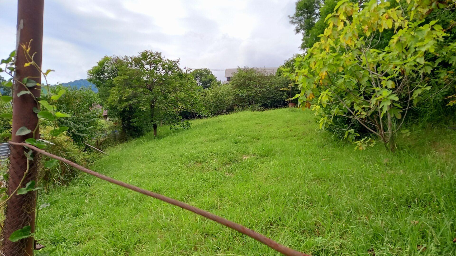 Участок в Хостинском районе