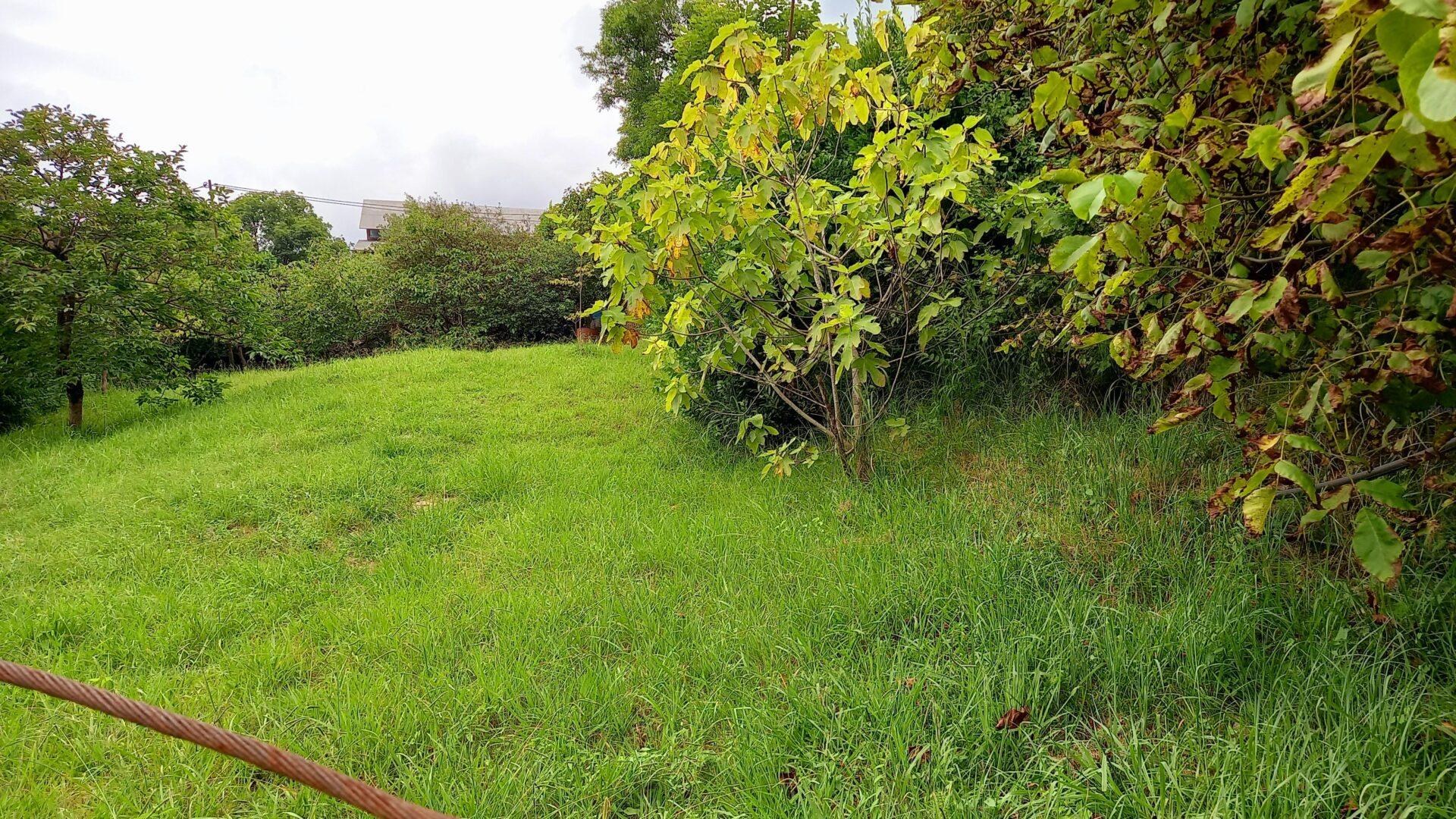 Участок в Хостинском районе