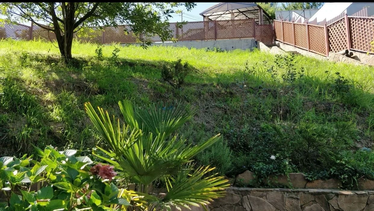 Дом мечты в идеальном месте