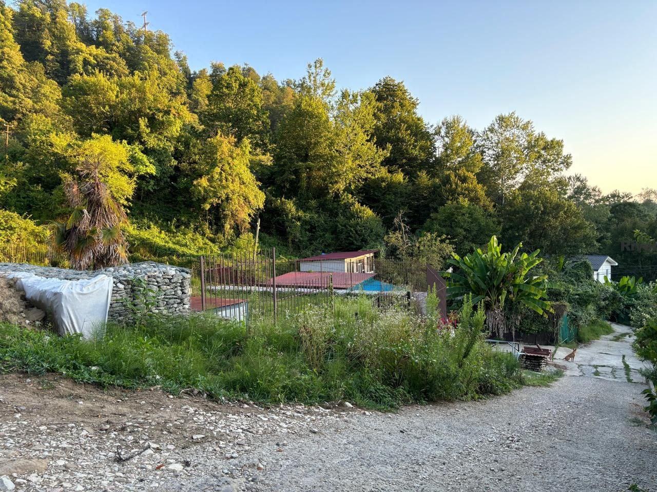 Участок в Хосте