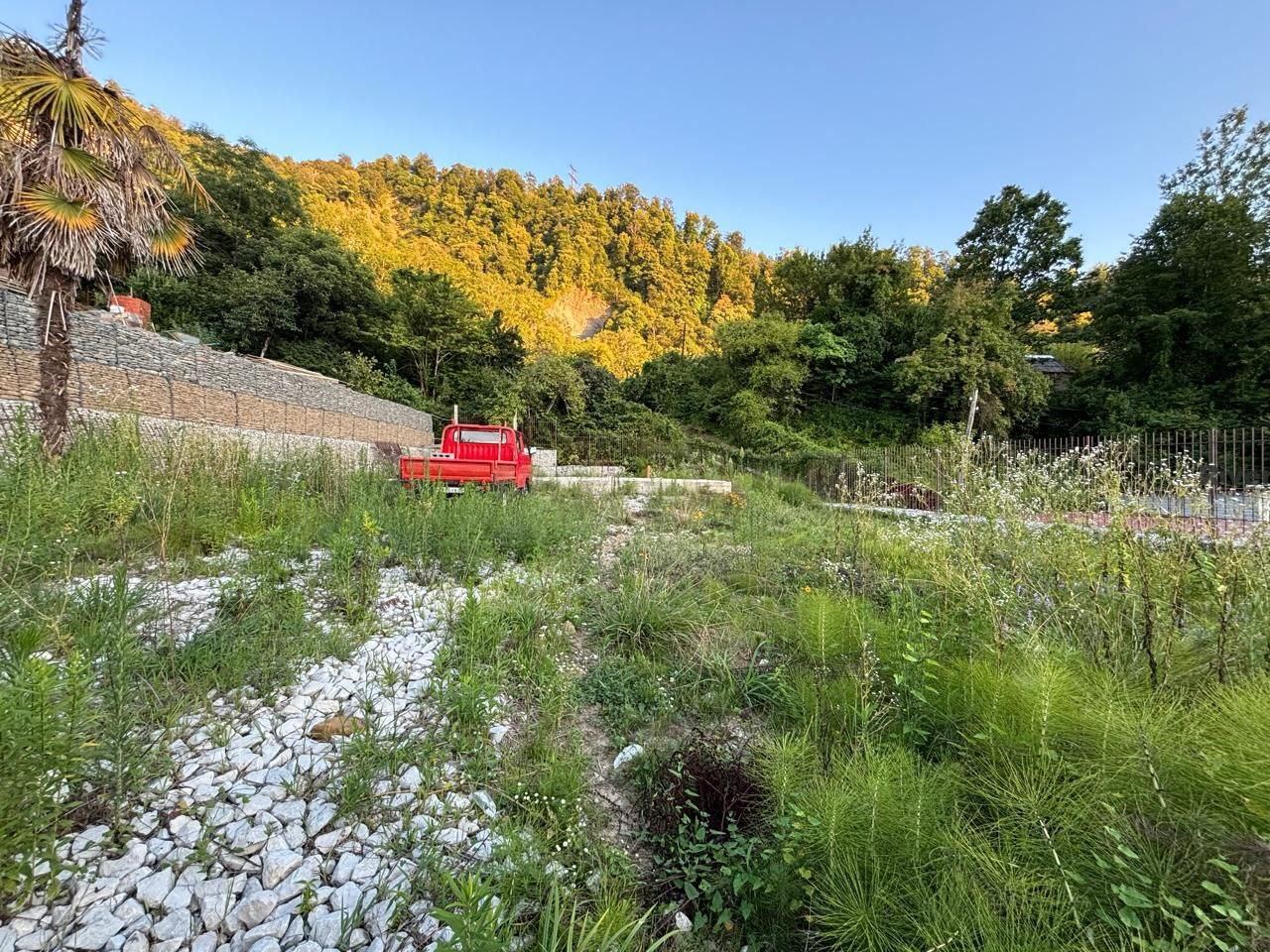 Участок в Хосте