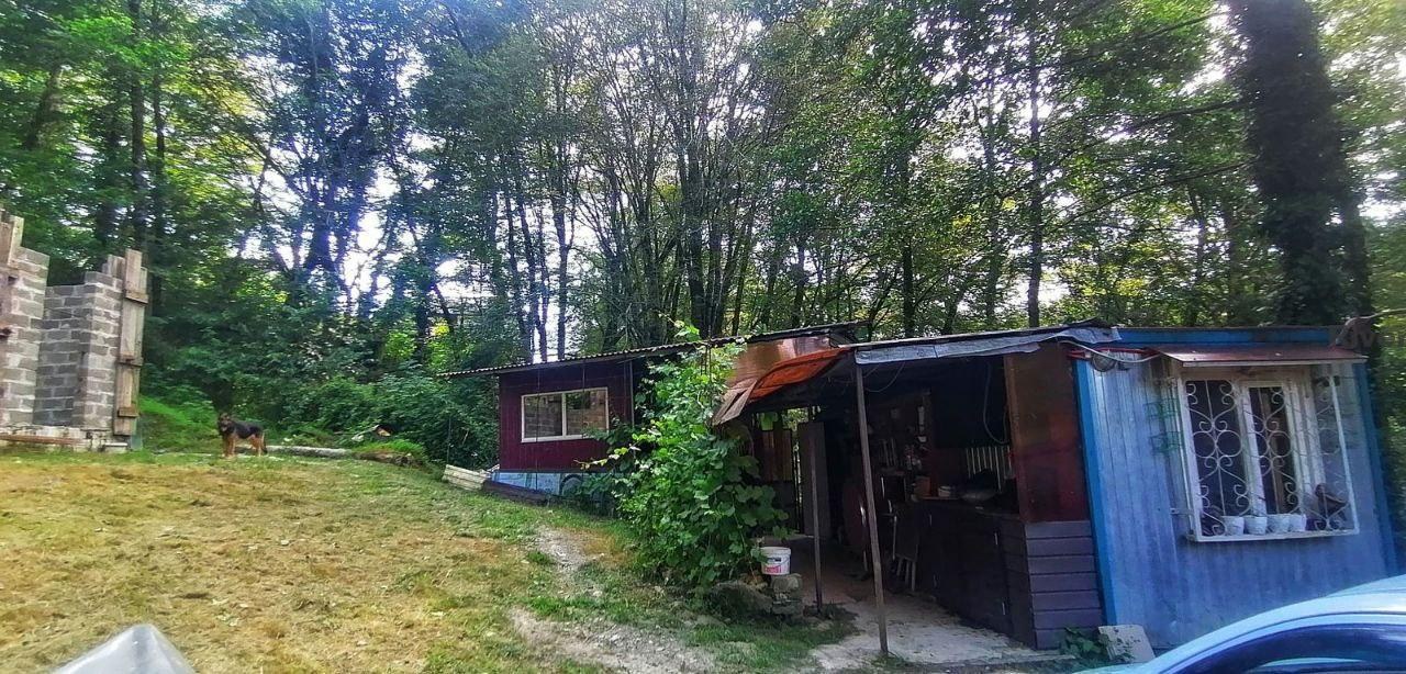 Участок в уединенном месте Сочи